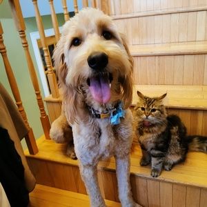 Meet your Posher, Tonya